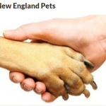 Save New England Pets Dogs Cats Birds and More GoFundMe Campaign