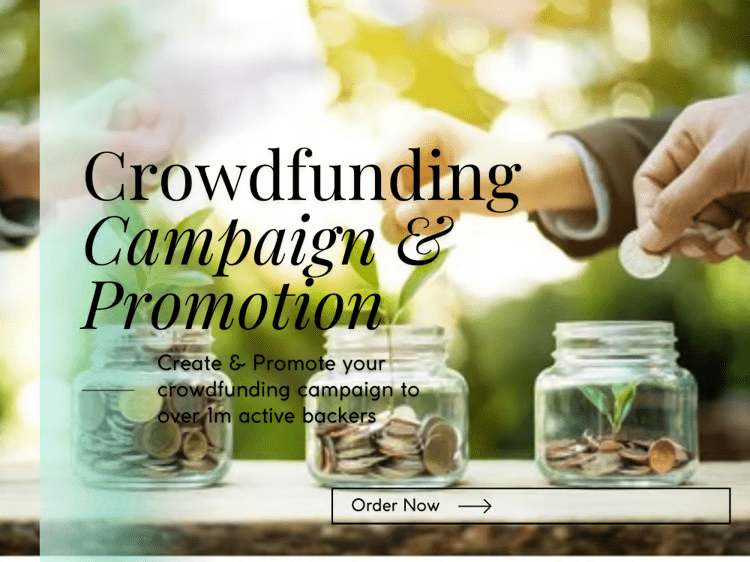 GoFundMe CrowdFunding Campaign Writing and Promotion