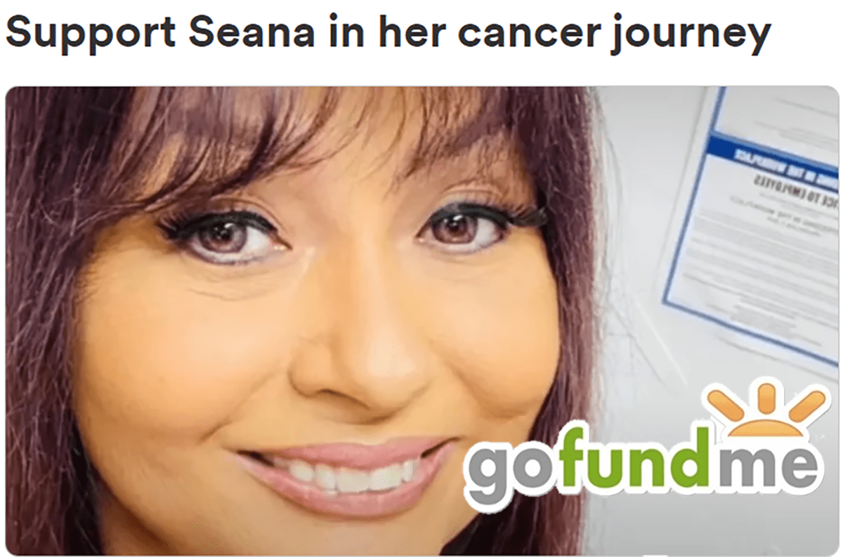 GoFundMe Supporting Seana in Her Battle Against Breast Cancer: A Call for Help