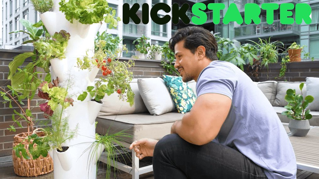 Introducing Stack & Sprout: The Revolutionary Vertical Plant Growing System for Urban Gardeners