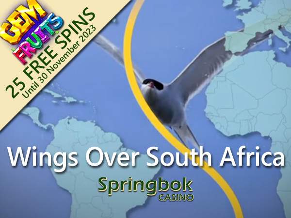 Springbok Casino Marvels at Bird Migration in “Wings Over South Africa” Feature
