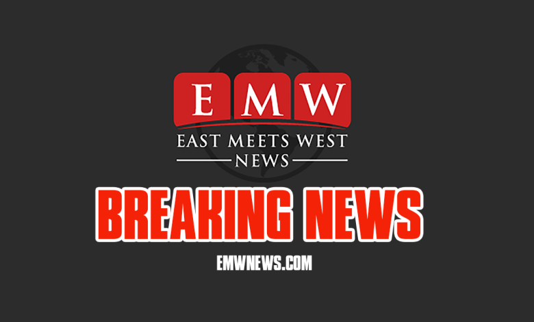 EMWNews.com offers comprehensive press release distribution services to optimize your online marketing strategy.