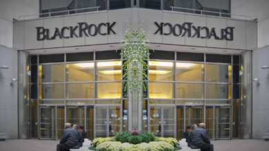 BlackRock Sees Sovereign Wealth Funds, Pensions Coming to Bitcoin ETFs